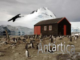 antartica.pps