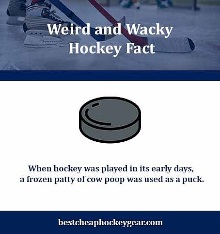 Weired and Wacky Hockey Facts.jpg